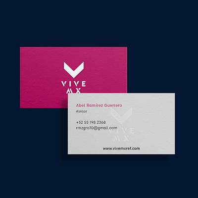 Vive MX Stationary. branding design graphic design