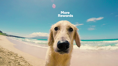 Rewards - Pet Insurance Facebook Canvas after effects animation motion design