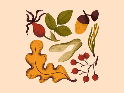 Autumn stuff autumn berries editorial illustration flat illustration illustrator leaves set texture
