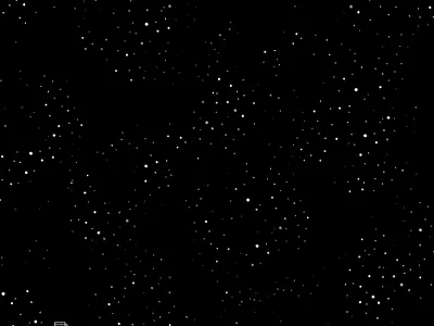 Happy Moon Festival animation branding design graphic design illustration moon motion graphics 中秋節 插畫