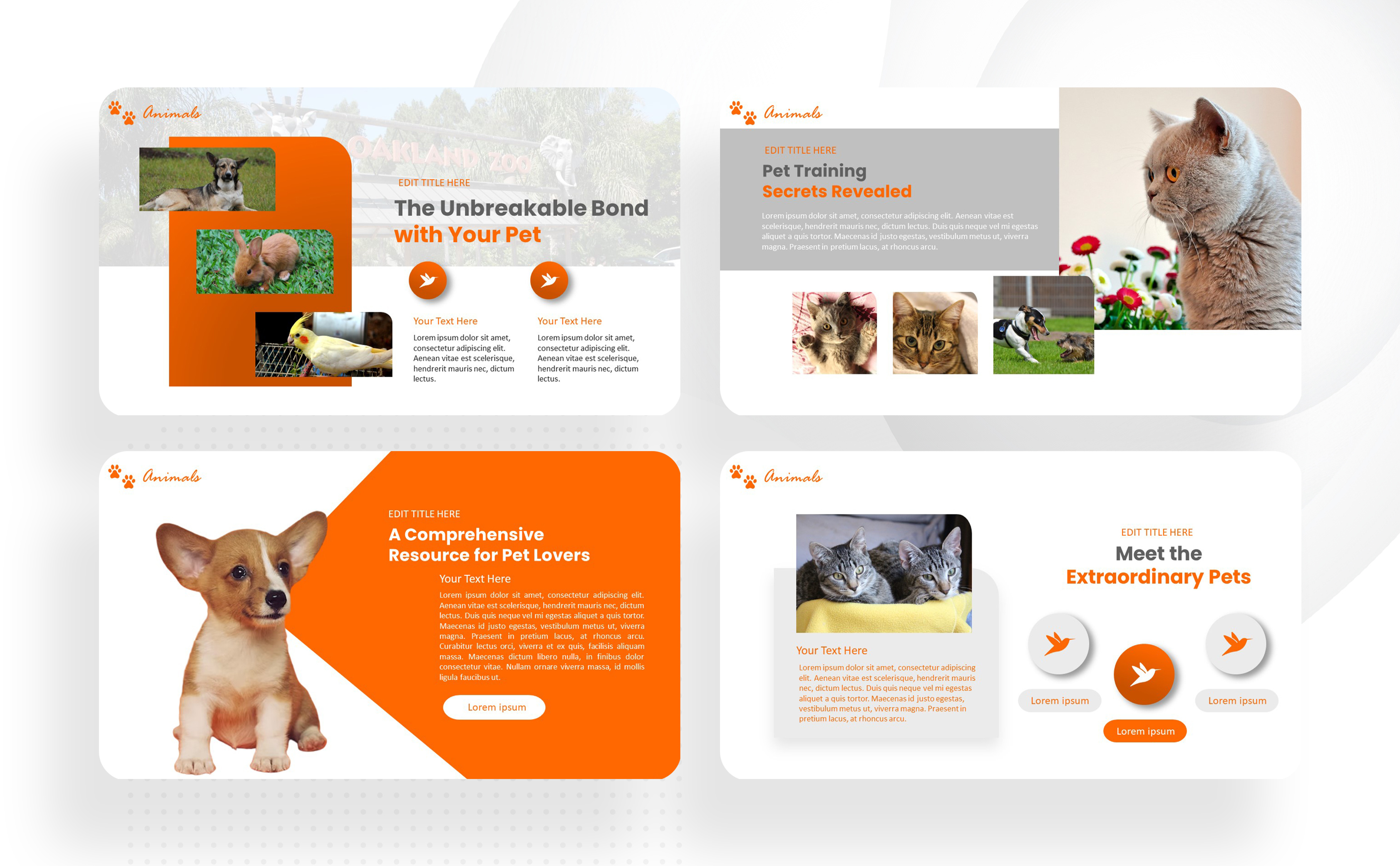 Pet - Powerpoint Template by Interpitch on Dribbble