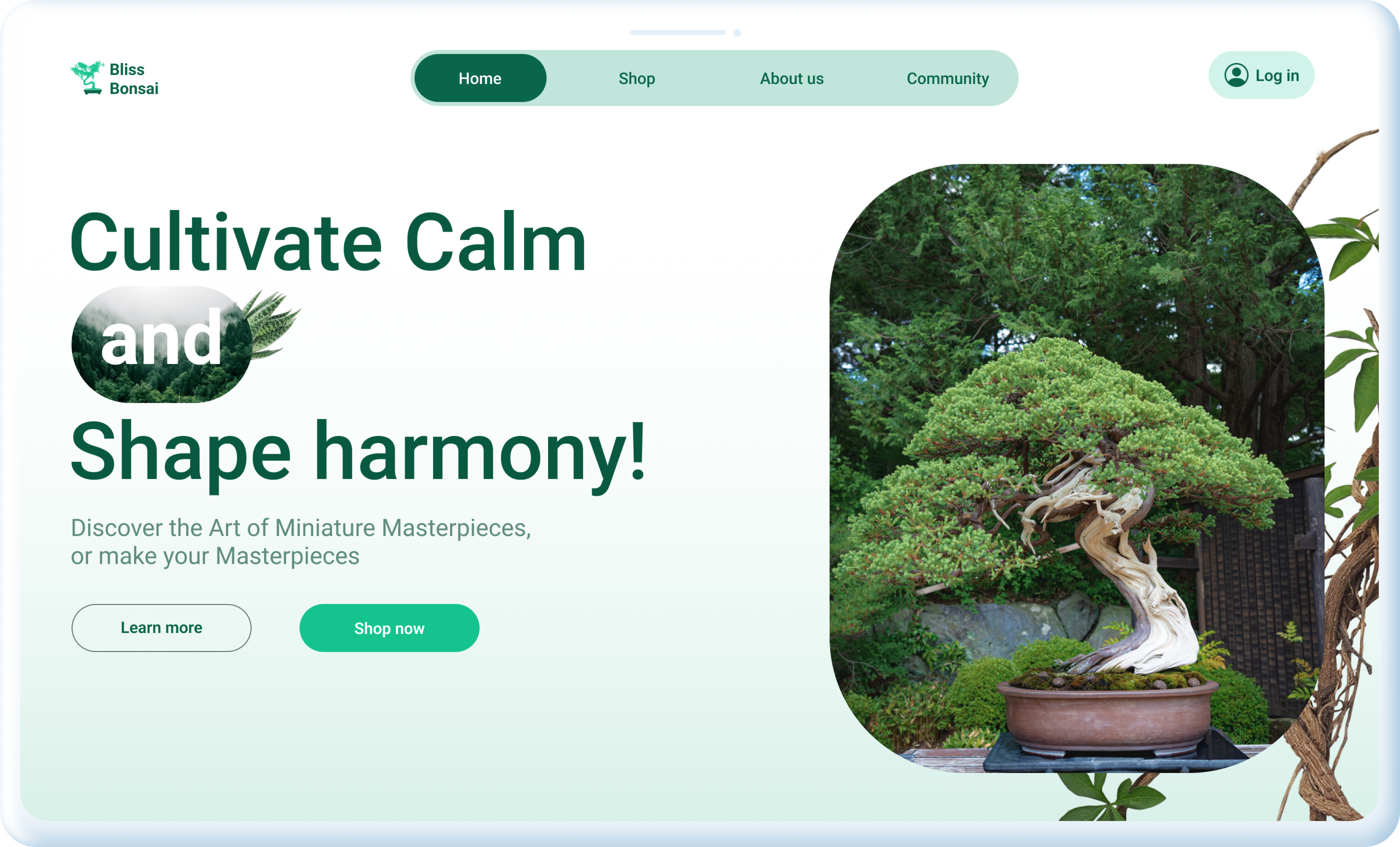 Bonsai E-commerce Hero Section! landing page tree ui ux website