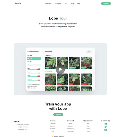 Lobe.ai Clone Front Page css html graphic design ui