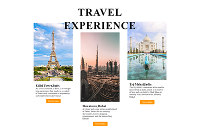 TRAVEL EXPERIENCE -Travel Card branding graphic design logo ui