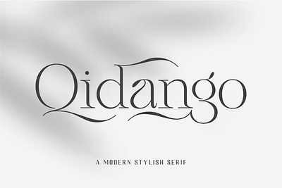 Qidango - Modern Stylish Serif