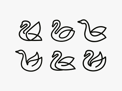 Swan logo concepts brand and identity branding design graphic design icon illustration logo vector
