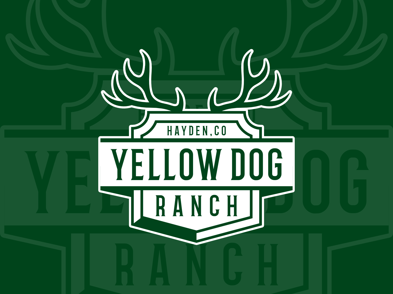 Yellow dog ranch Logo Design by Patria_1991 on Dribbble