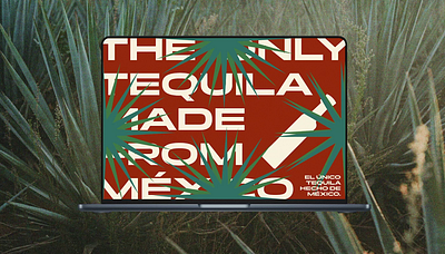 Supremo | Advertising II advertising agave branding copywriting tequila