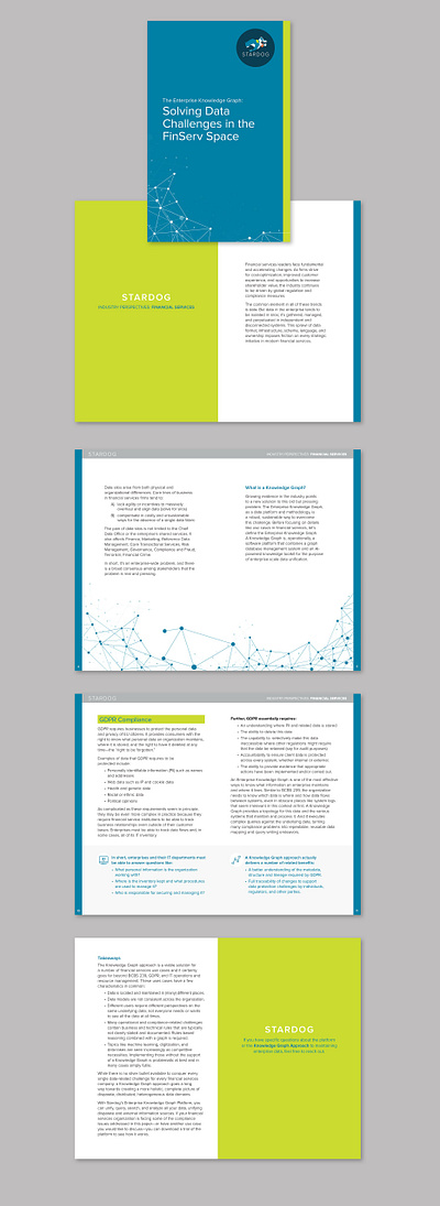 Stardog Financial Services Leaflet graphic design illustrator indesign layout print design