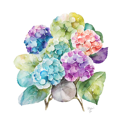 Hydrangea B Portrait in Watercolors & Pen design flower garden hydrangea illustration pen peony portrait sunflower