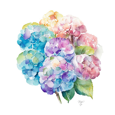 Hydrangea D Portrait in Watercolors & Pen design flower garden hydrangea illustration pen peony portrait sunflower ui