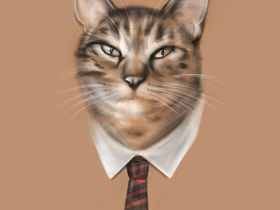 Cat business cat drawing grumpy kitty pet portrait procreate tie