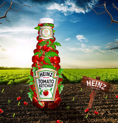 Tomato Product Poster Design adobe photoshop branding design graphic design graphics heinz poster photoshop post poster product design ui