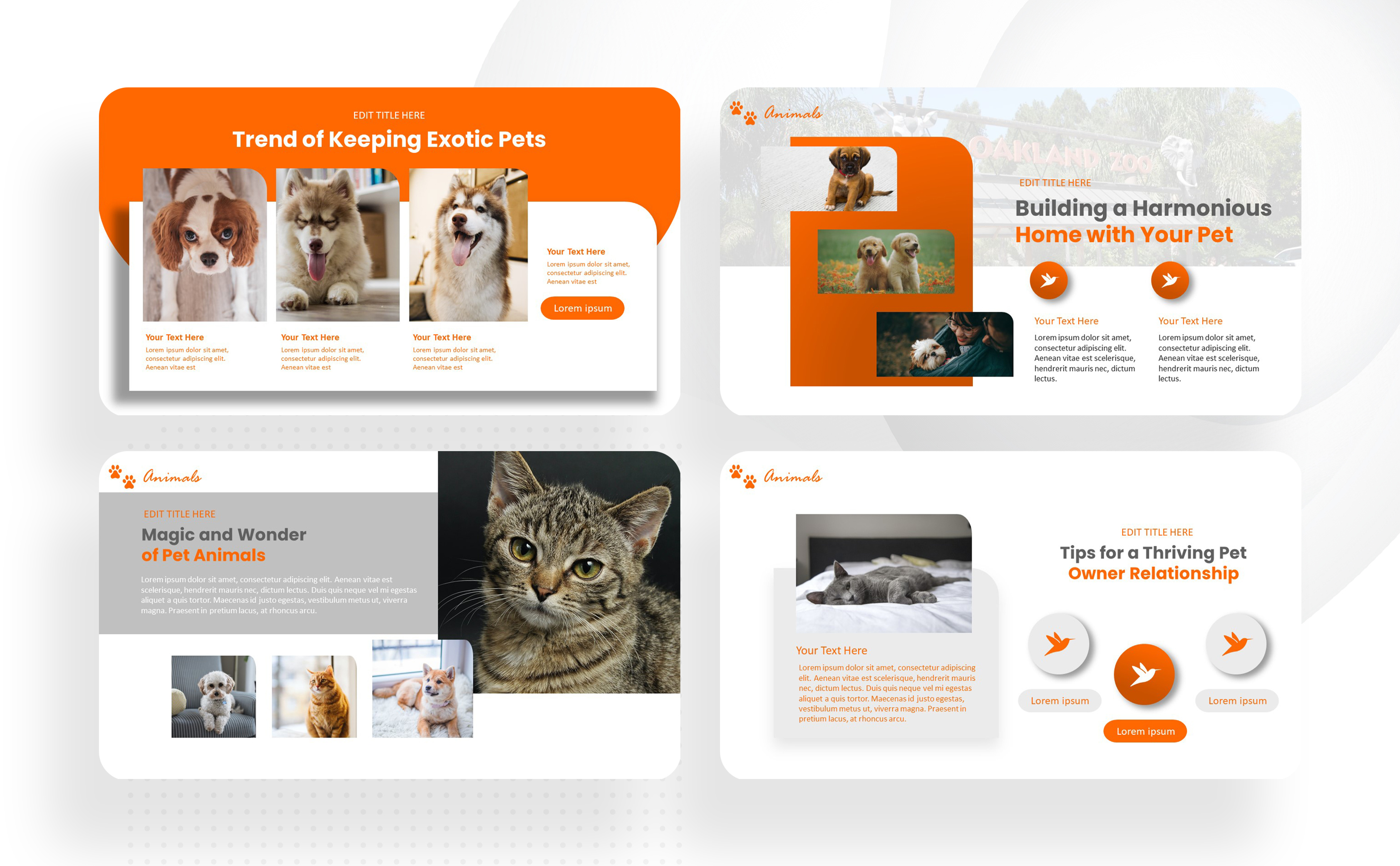 Pet - Powerpoint Template by Interpitch on Dribbble