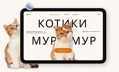 Cat site 😺 design ui ux