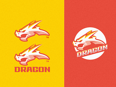 Dragon Logo branding design dragon graphic design identity illustration logo mark tshirt vector