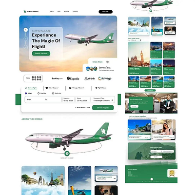 Website Designed for Vecktor Airways branding graphic design ui