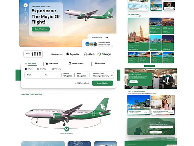 Website Designed for Vecktor Airways branding graphic design ui