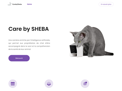 Landing page for the brand SHEBA design ia landingpage sheba ui ux