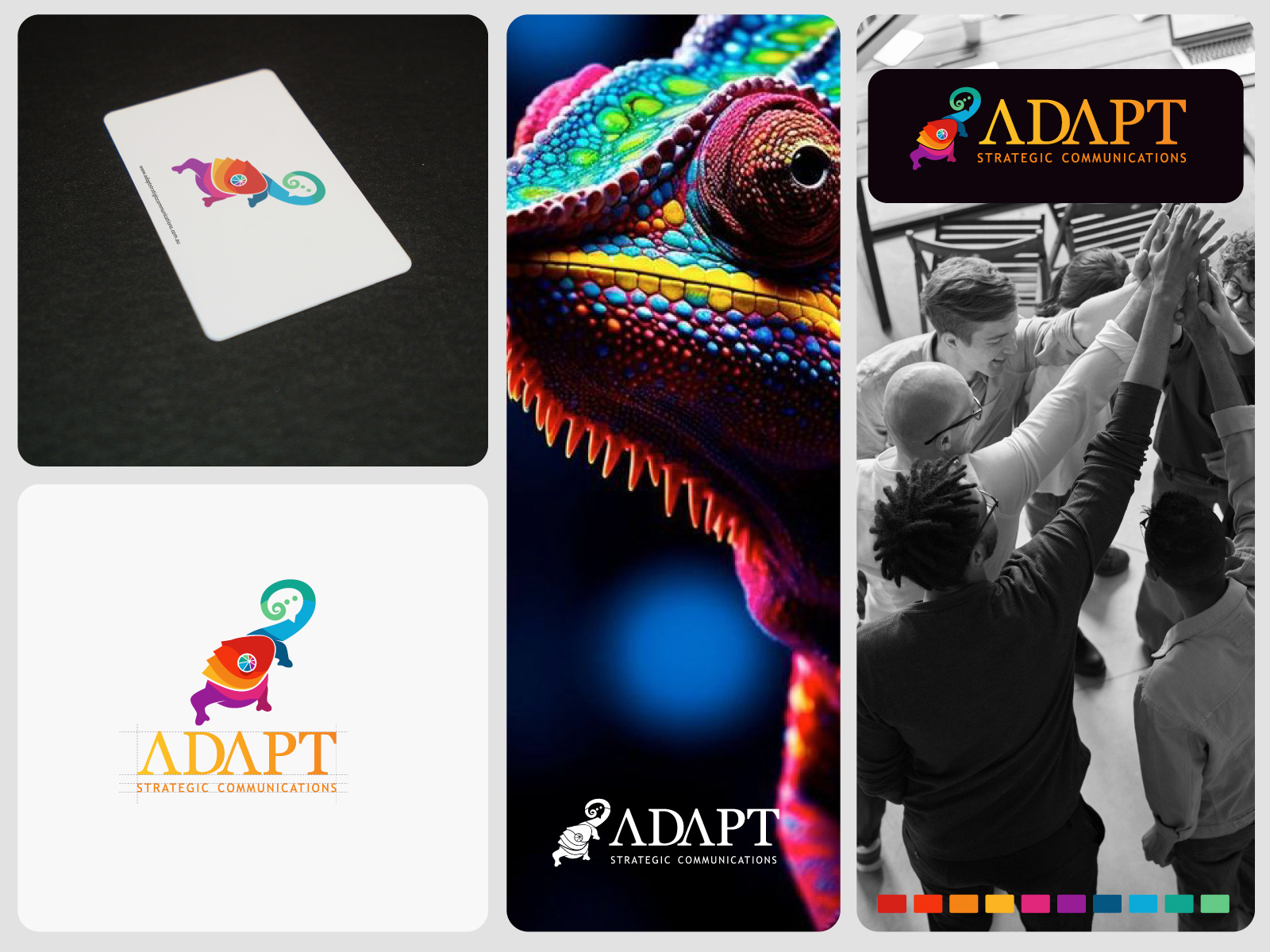 Design Logo for Adapt Strategic animallogo brand branding chameleon chameleonlogo design graphic design icon illustration logo minimal vector