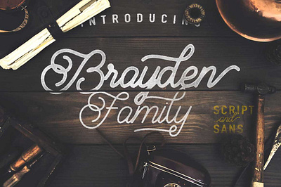 Brayden Family app branding design graphic design illustration logo typography ui ux vector