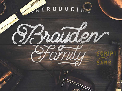 Brayden Family app branding design graphic design illustration logo typography ui ux vector