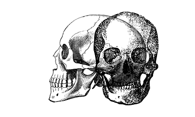 Halloween - Skull T-Shirt animation graphic design halloween illustration skull t shirt design