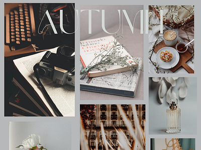 Autumn Aesthetic Mood Boards aesthetic autumn inspo canva color palette design fall layout october pexels photography