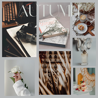 Autumn Aesthetic Mood Boards aesthetic autumn inspo canva color palette design fall layout october pexels photography