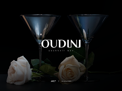 OUDINI ▸ Logotype branding concept design graphic design logo logodesign logotype typography
