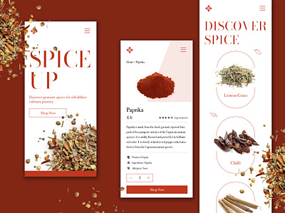Spice Up Responsive Mobile graphic design ui