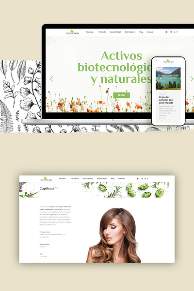 Novachem - Web Design web design wordpress