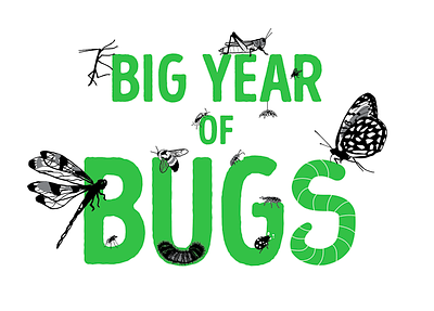 Big Year of Bugs identity bug bugs butterfly dragonfly identity insect insects logo nature