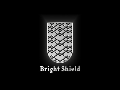 Bright Shield: Logo Design 3d branding bright cosmotic free graphic design knitting motion graphics shield silver ui usa