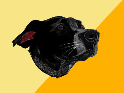 Portrait of a dog 🐶 black dog dog drawing graphic design illustration mix orange painting pointer pointer mix yellow