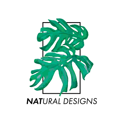 Natural Designs Logo adobe illustrator botanical branding designer graphic design logo monstera