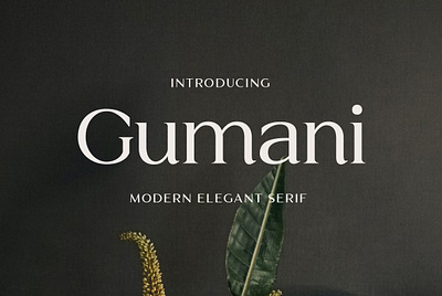 Gumani Serif Font branding design font fonts graphic design seriffont typography