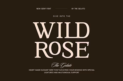 Wild Rose Modern Minimal Serif Font brand branding classy font logo luxury modern packaging premium serif