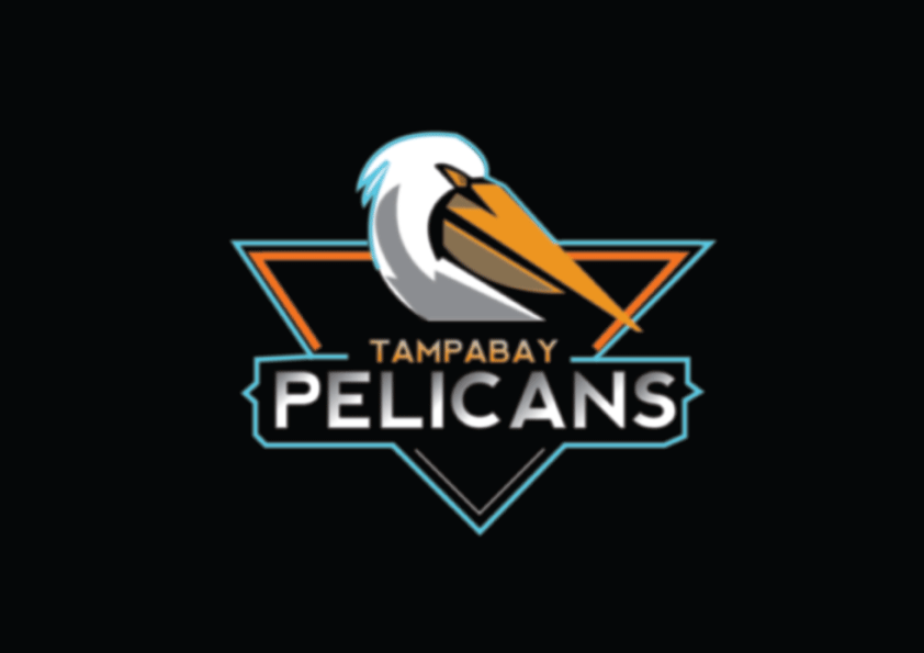TAMPABAY PELICANS branding graphic design logo