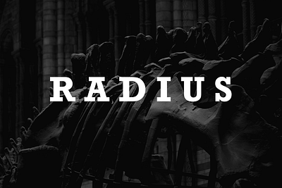 Radius magazine editorial magazine typography