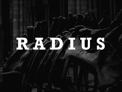 Radius magazine editorial magazine typography