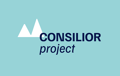 WIP - Consilior project branding design graphic design logo logo design mountain vector