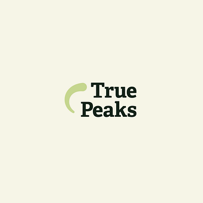 True Peaks – logo animation animation branding graphic design logo motion graphics