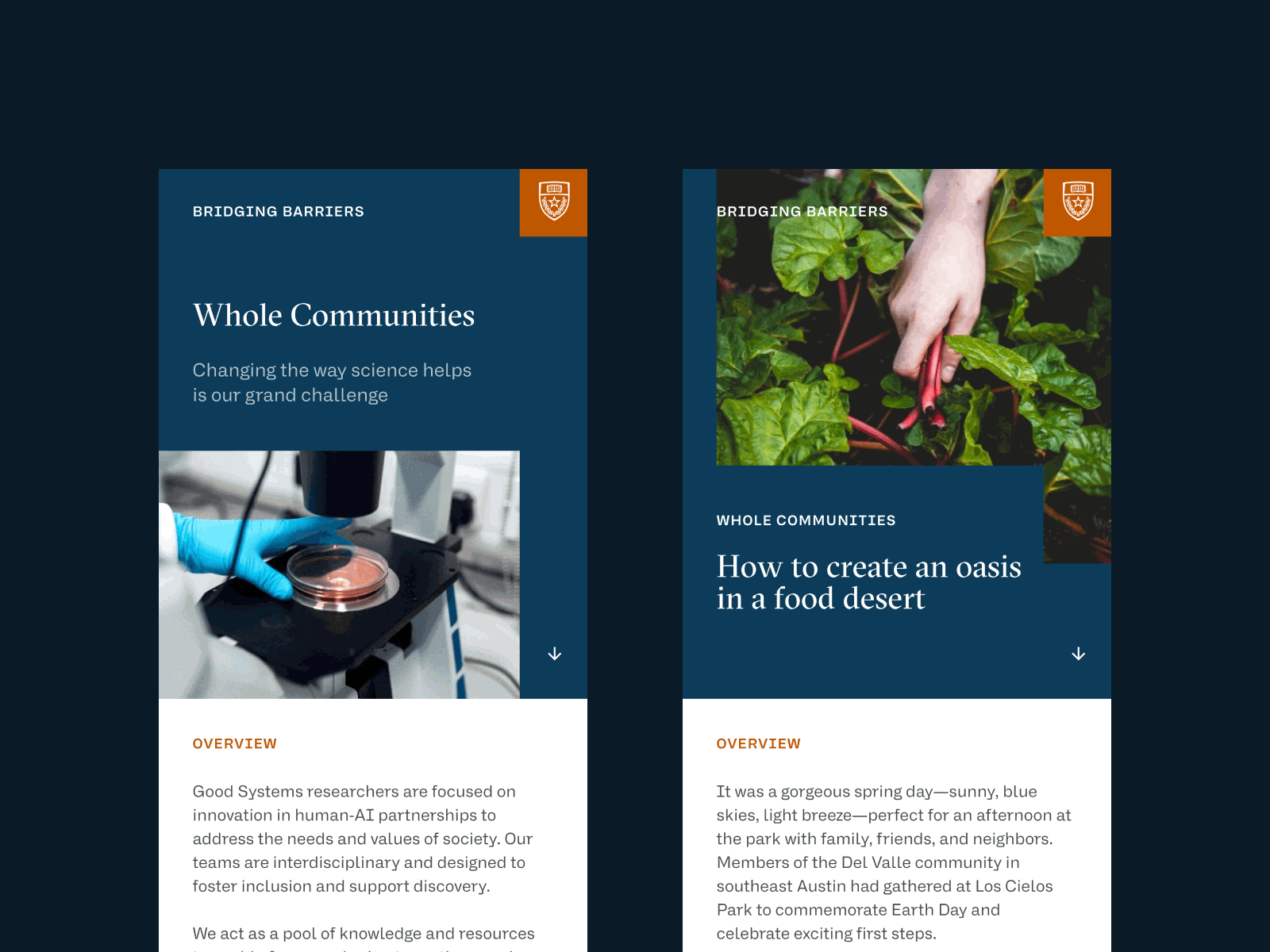 Bridging Barriers design texas ui website