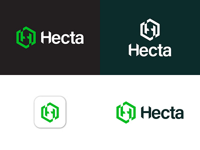 Hecta branding design logo logo design minimal