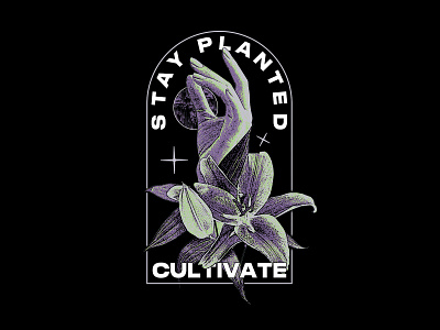 Cultivate design flower graphic graphic design illustration