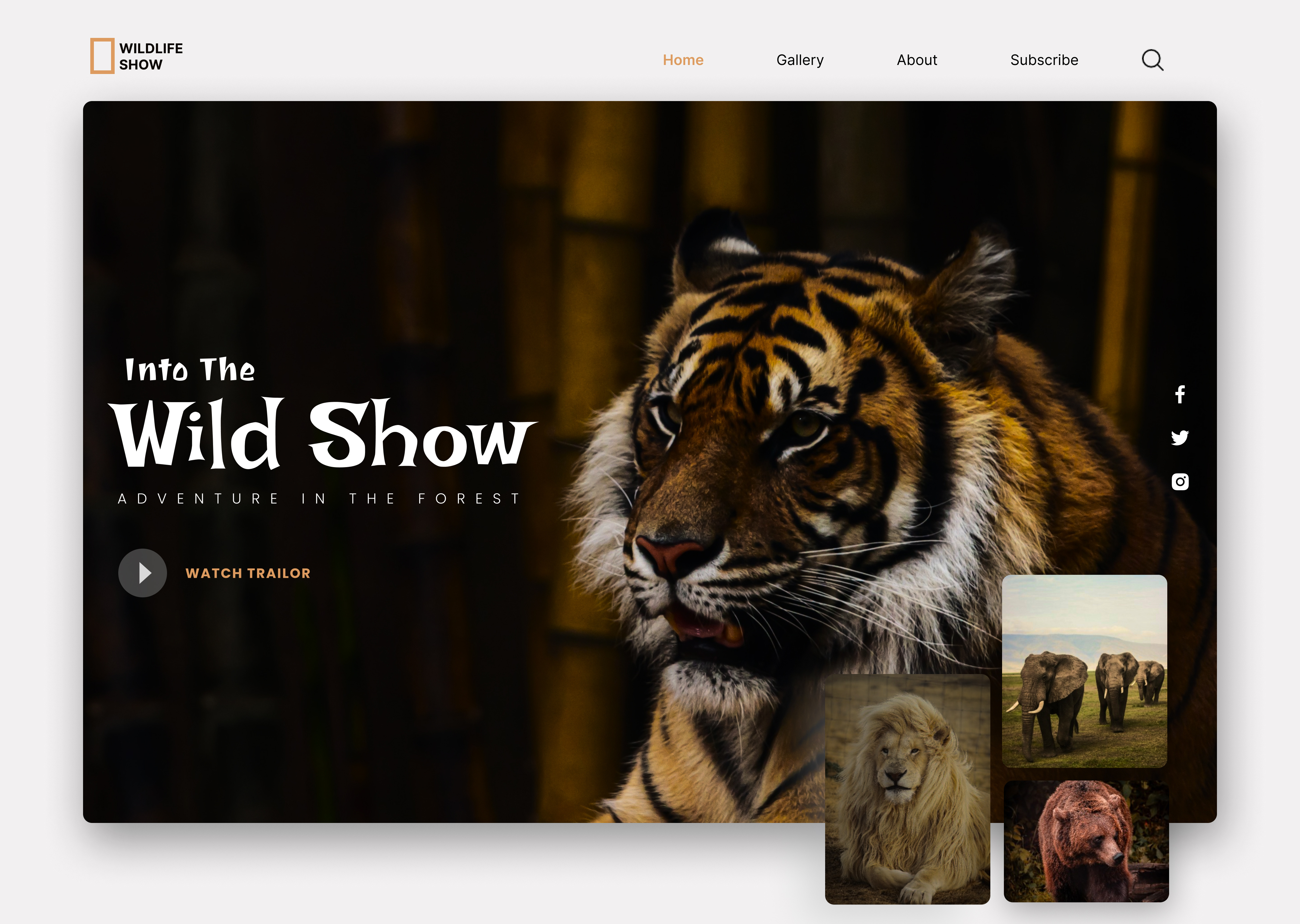 Wildlife Website branding colorcombinations creativity design dribbble figma graphic design graphicdesigner illustration landingpage logo ui uiinspiration uitrends uiux uiuxdesigns ux vector webpage wildlife