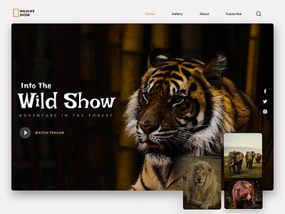 Wildlife Website branding colorcombinations creativity design dribbble figma graphic design graphicdesigner illustration landingpage logo ui uiinspiration uitrends uiux uiuxdesigns ux vector webpage wildlife