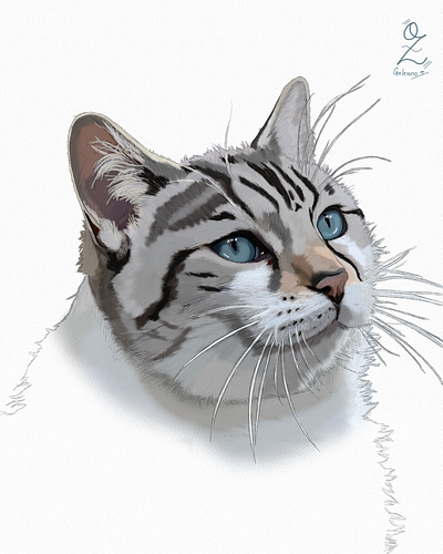 Silver Cat Sketch 2 by Oz Galeano animal art arte arte ozgaleano boceto cat color design dibujo digitalart drawing gato illustration mexico ozgaleano painting sketch