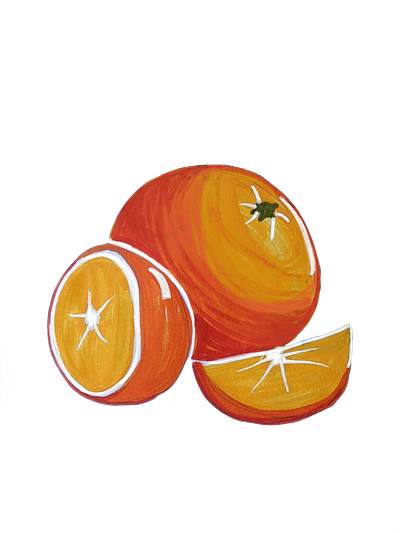 oranges citrus fruit digital art digital drawing drawing fruit illustration orange